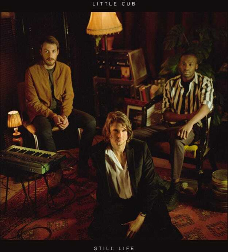 Little Cub Still Life LP/Vinyl