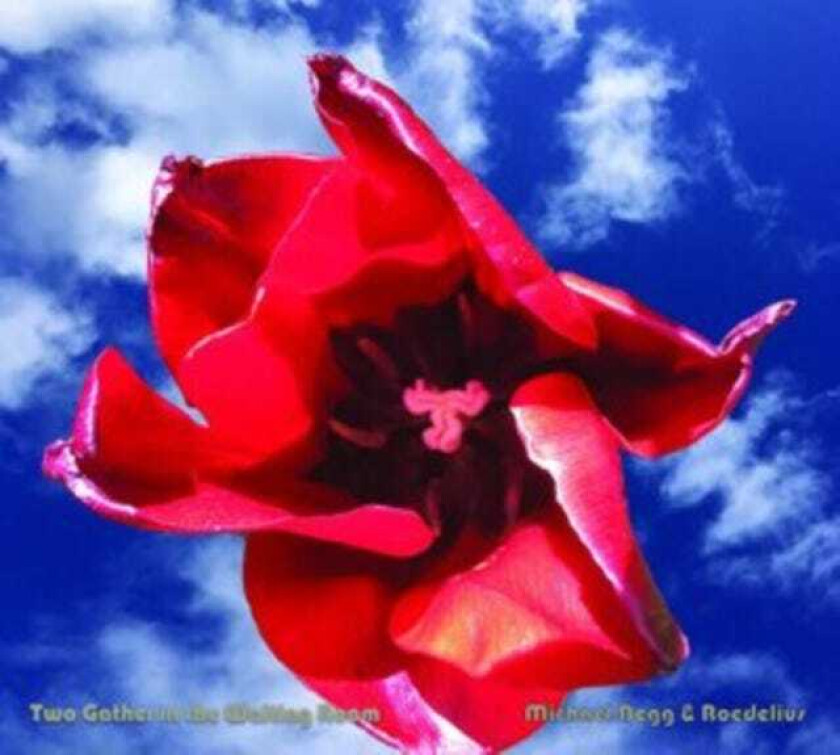 Michael Begg, Roedelius Two Gather In The Waiting Room CD