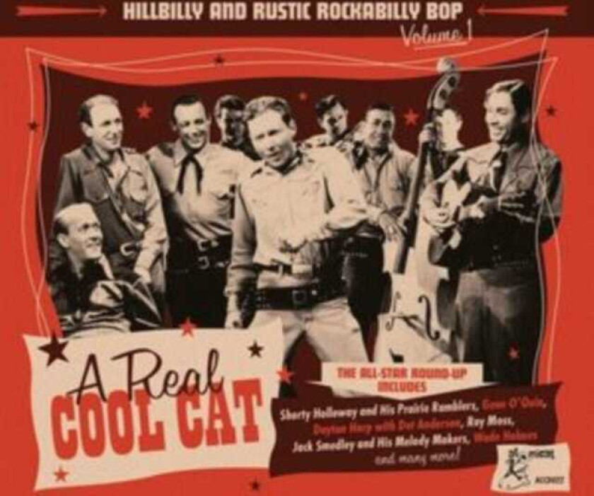 Diverse Artister A Real Cool Cat CD