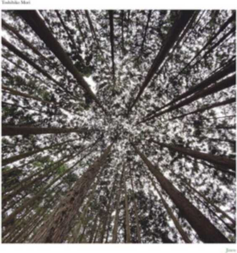 Toshihiko Mori Jinen LP/Vinyl