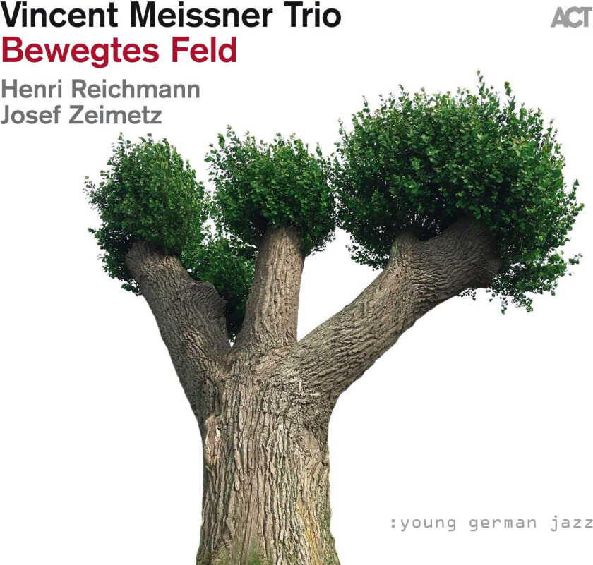 Vincent Meissner Trio  Bewegtes Feld  CD