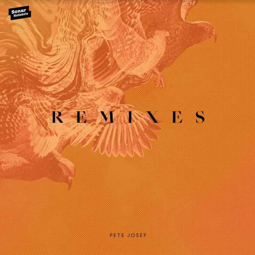 Pete Josef Remixes LP/Vinyl