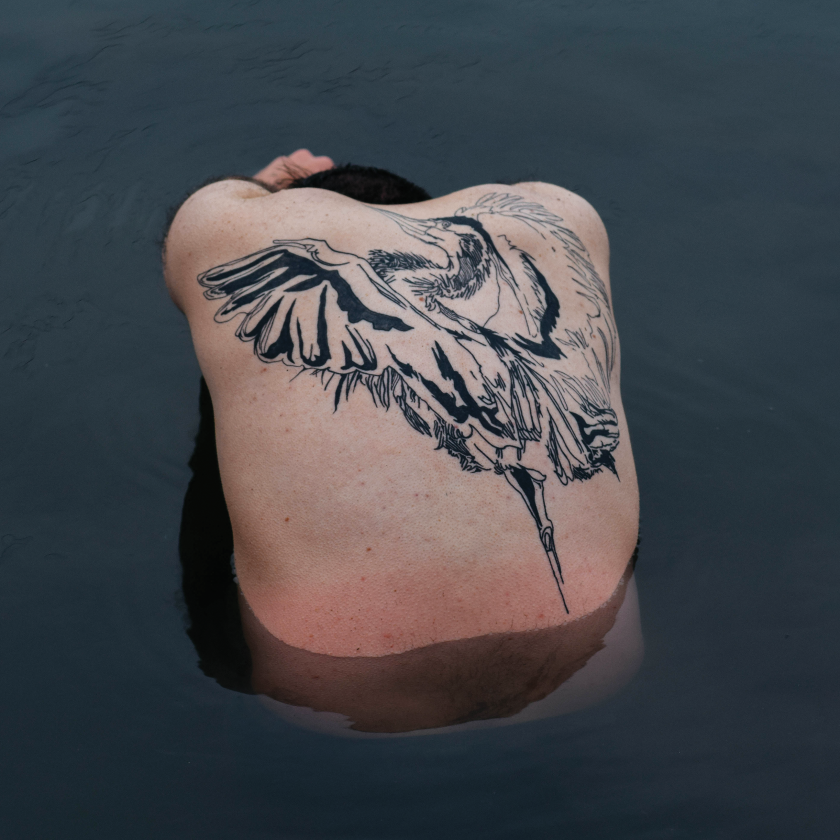 Jodi Blue Heron CD