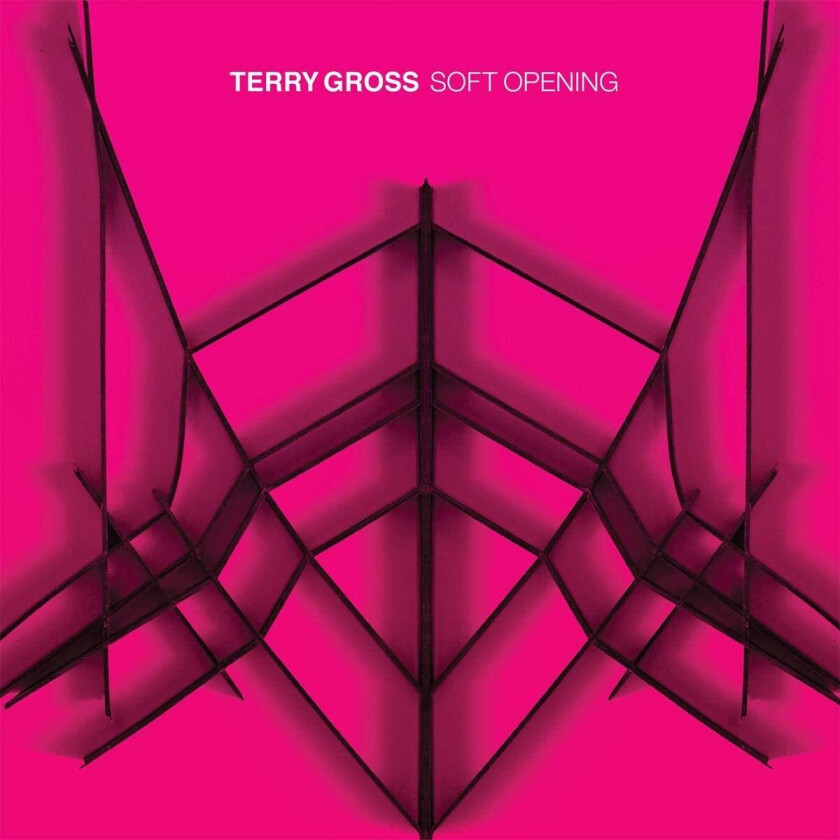 Terry Gross  Soft Opening  LP/Vinyl