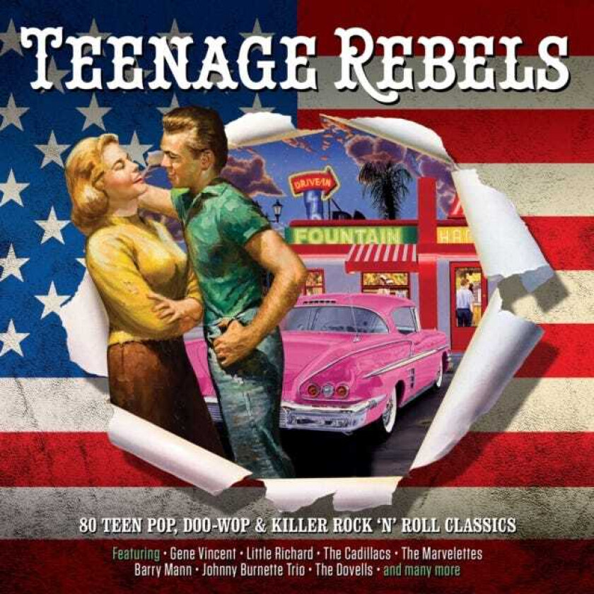 Diverse Artister Teenage Rebels CD