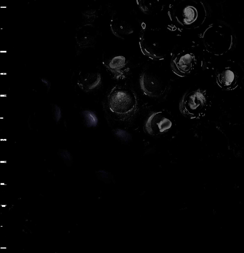 Crumb Ice Melt LP/Vinyl