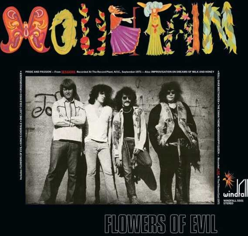 Mountain Flowers Of Evil LP/Vinyl