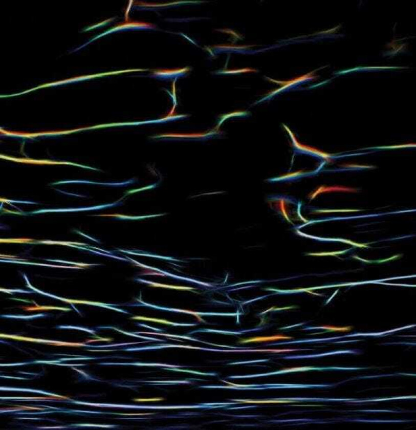 Porter Ricks Biokinetics LP/Vinyl