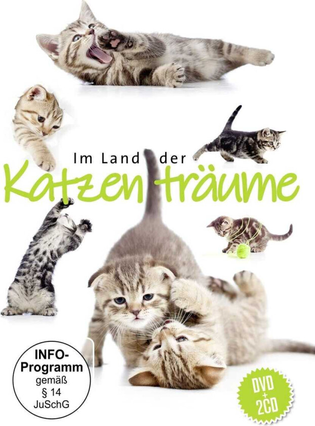 Diverse New Age  Im Land Der Katzenträume  CD