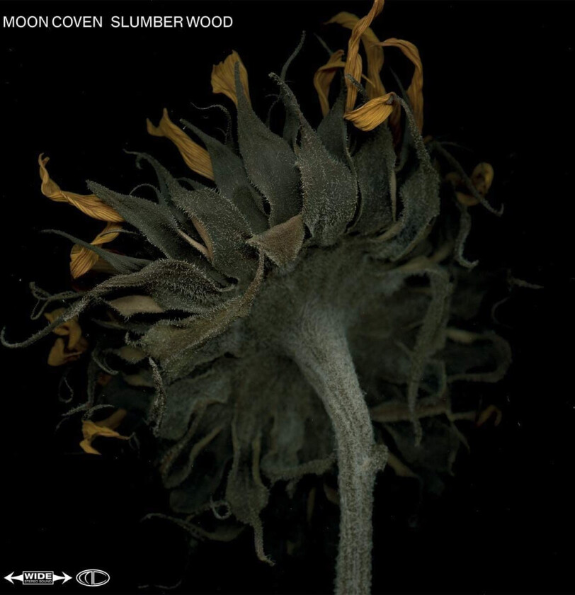 Moon Coven Slumber Wood CD