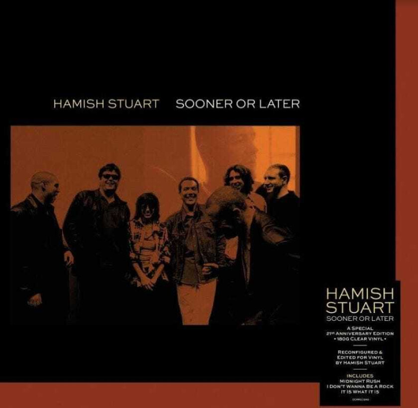 Hamish Stuart Sooner Or Later LP/Vinyl