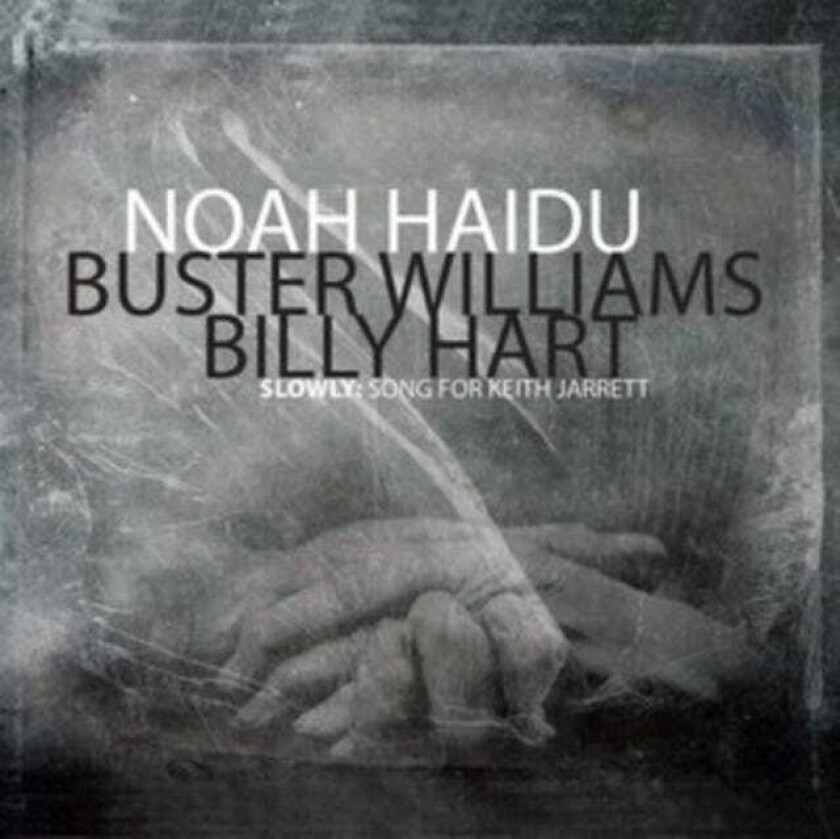 Noah Haidu Trio Equilateral CD