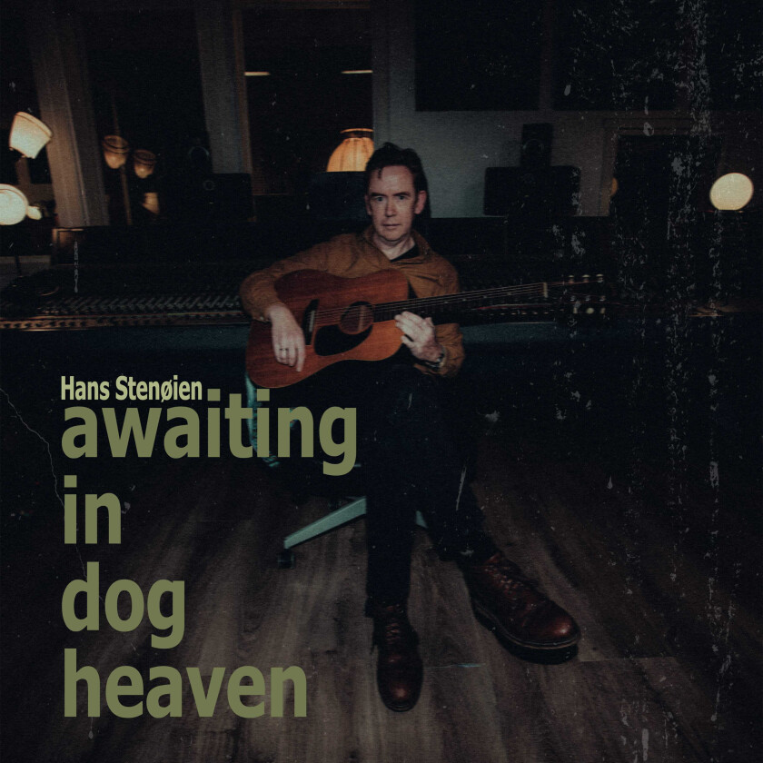 Hans Stenøien Awaiting In Dog Heaven LP/Vinyl