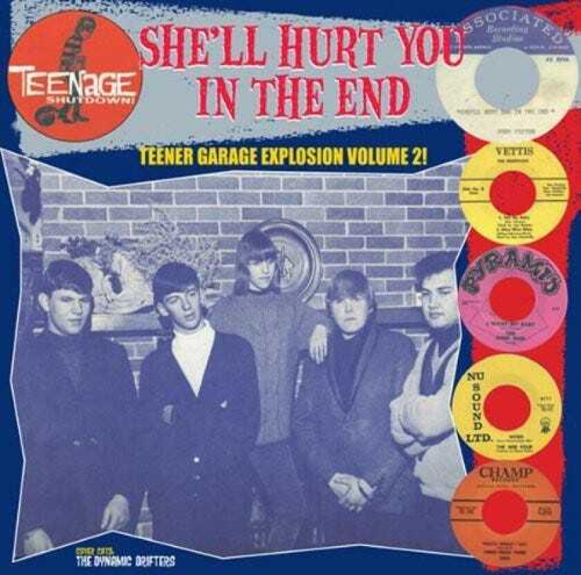 Diverse Artister, Diverse Rock Teenage Shut Down She'll Hurt You In LP/Vinyl