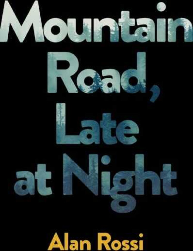 Mountain Road, Late at Night