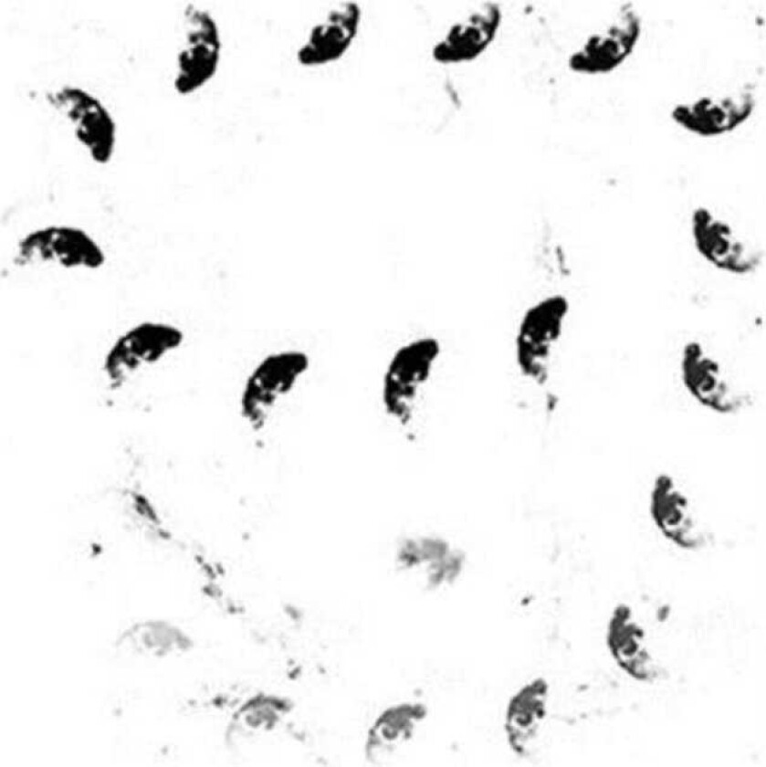 Monolithe Noir Moira LP/Vinyl