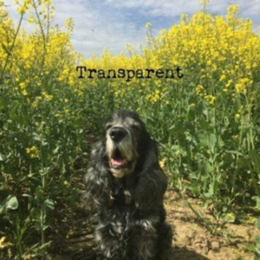 Joshua Grant Transparent LP/Vinyl