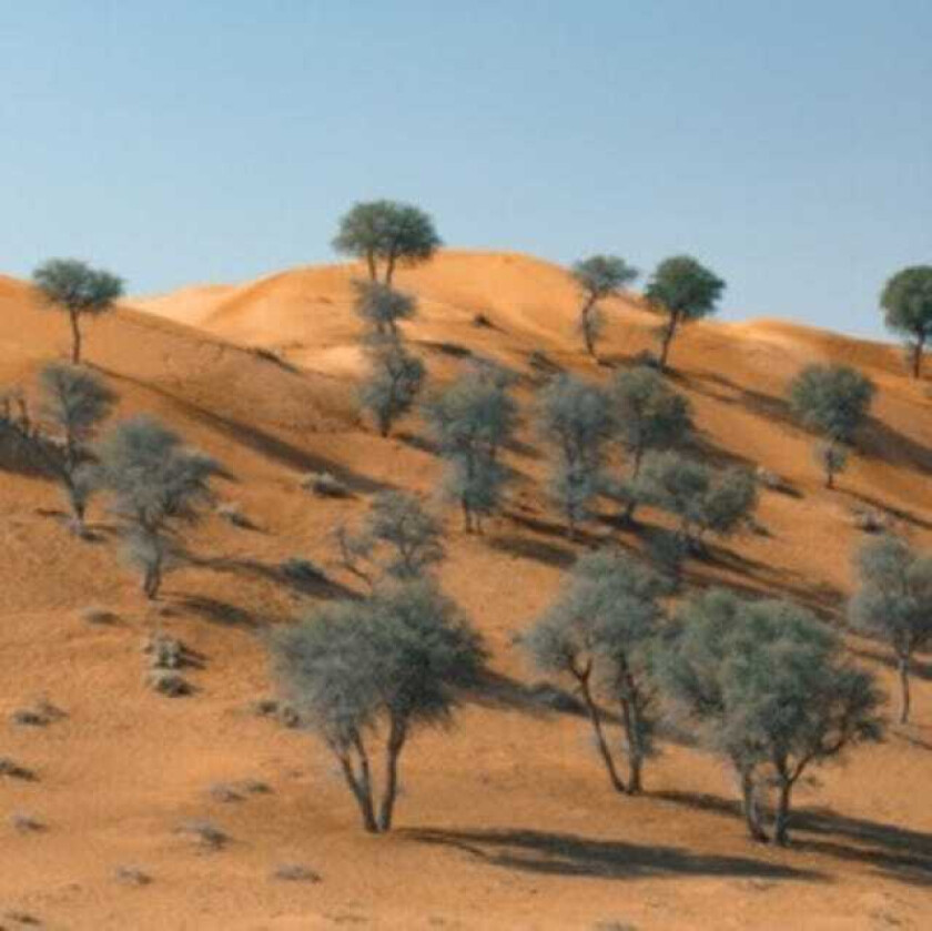 Teleseen Exposures EP LP/Vinyl