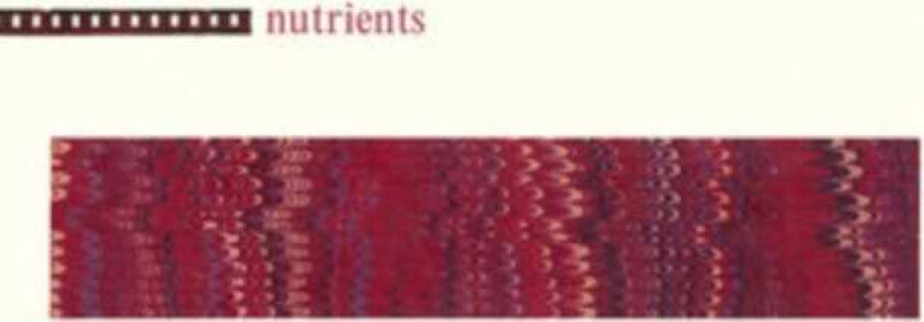 Nutrients Nutrients LP/Vinyl