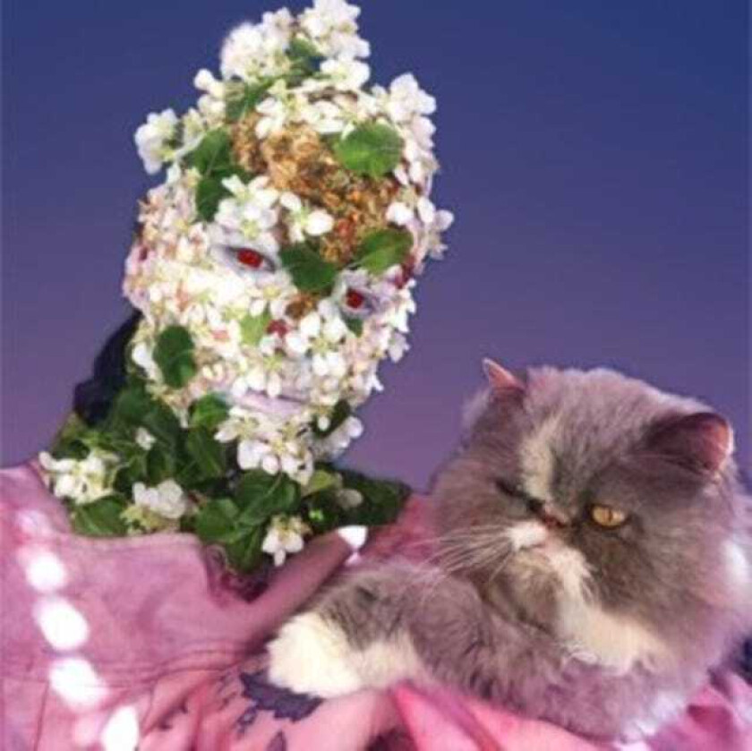 Kiwi Hit Me LP/Vinyl