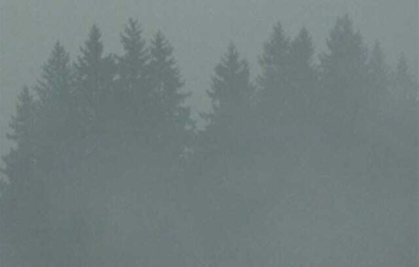 Max Loderbauer Donnerwetter LP/Vinyl