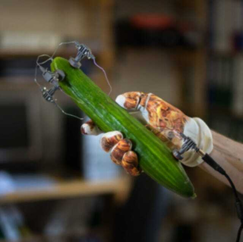 Gajek Vitamin D LP/Vinyl