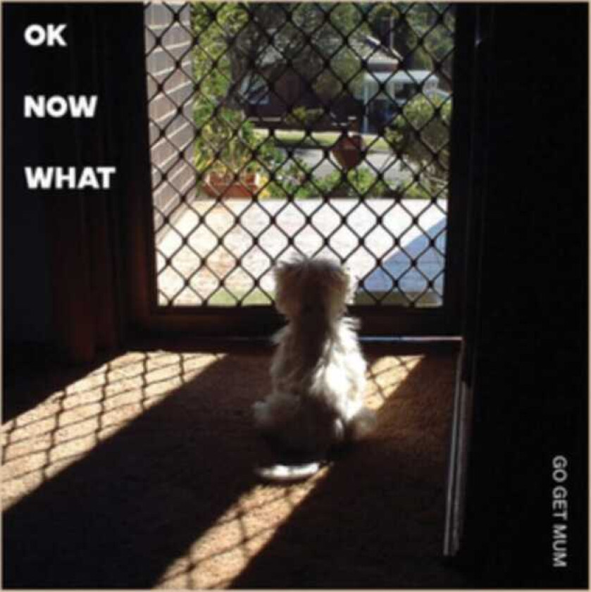 Go Get Mum Ok Now What LP/Vinyl