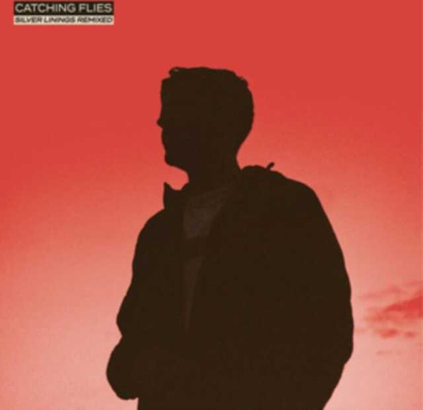 Catching Flies Silver Livings Remixed LP/Vinyl