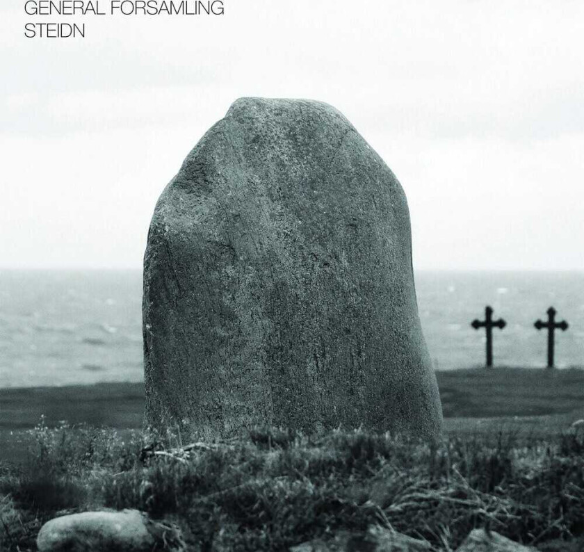 General Forsamling Steidn LP/Vinyl