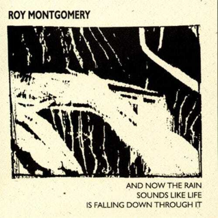 Roy Montgomery  And Now The Rain Sounds Like Life Is Falling Through It  CD