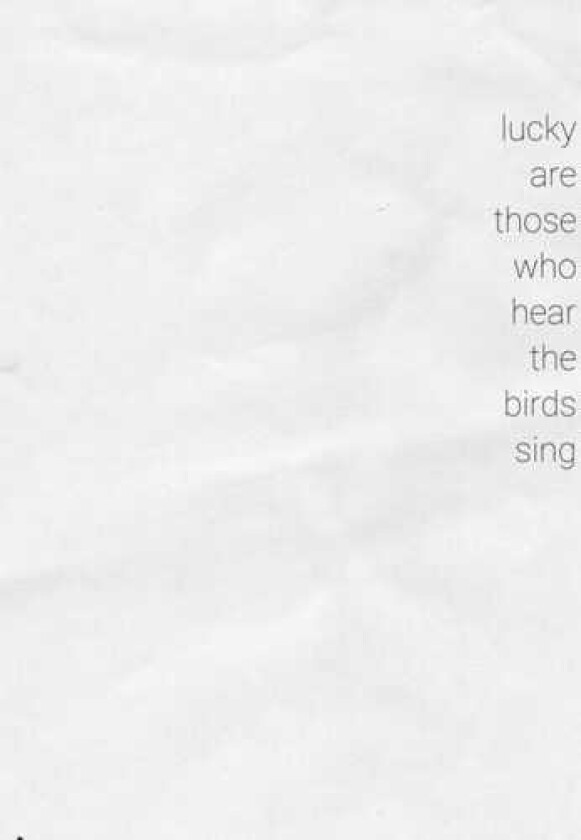 Diverse Artister, Diverse Electronica  Lucky Are Those Who Hear The Birds Sing  LP/Vinyl