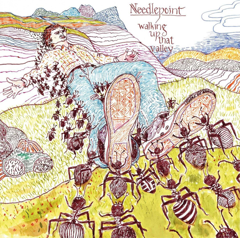Needlepoint Walking Up That Valley LP/Vinyl
