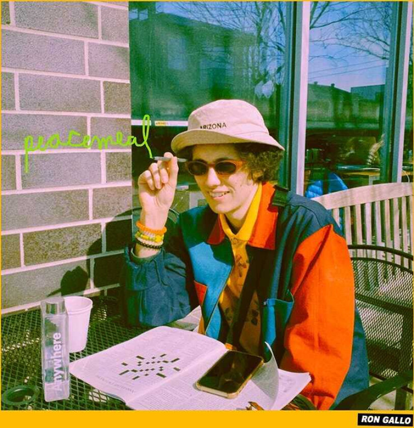 Ron Gallo Peacemeal LP/Vinyl