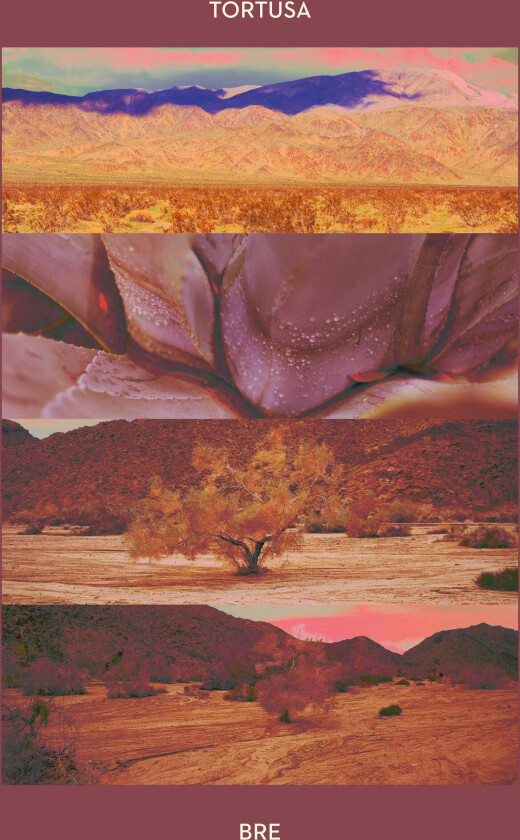 Tortusa Bre LP/Vinyl