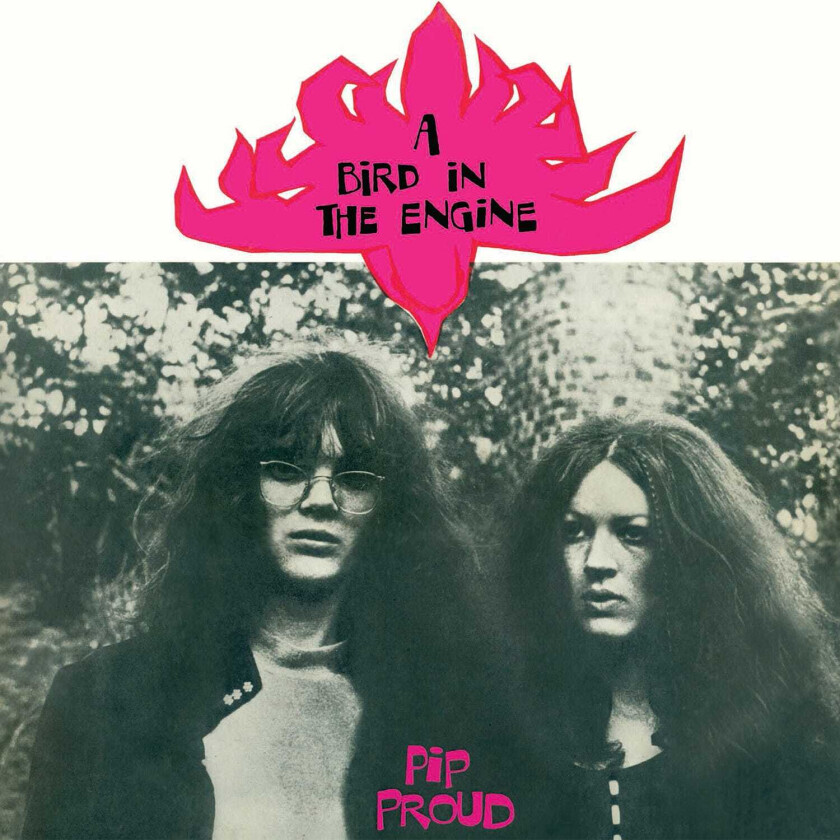 Pip Proud A Bird In The Engine LP/Vinyl