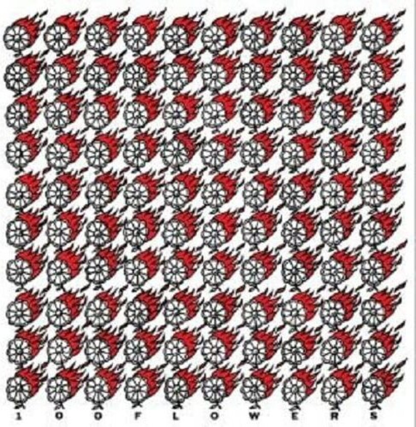 100 Flowers 100 Flowers LP/Vinyl