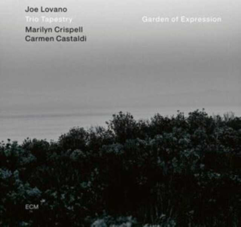 Joe Lovano  Garden Of Expression  CD