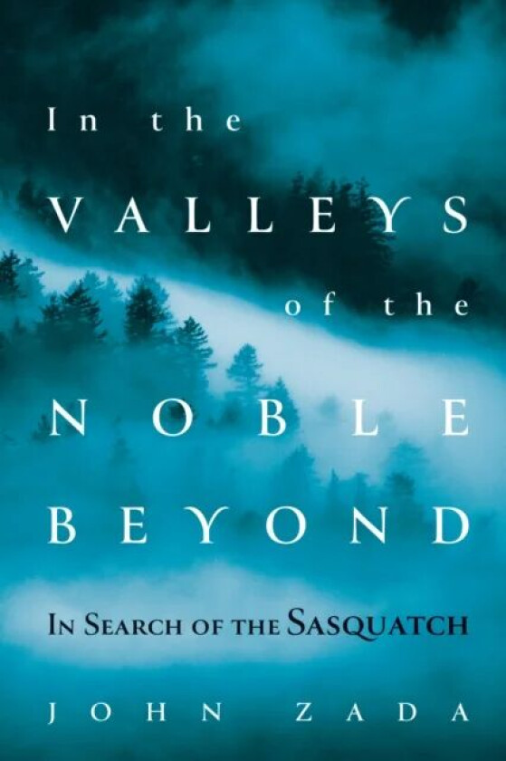 In the Valleys of the Noble Beyond av John Zada