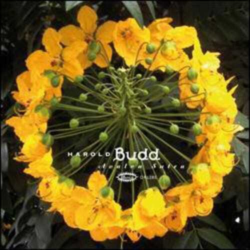 Harold Budd Avalon Sutra CD
