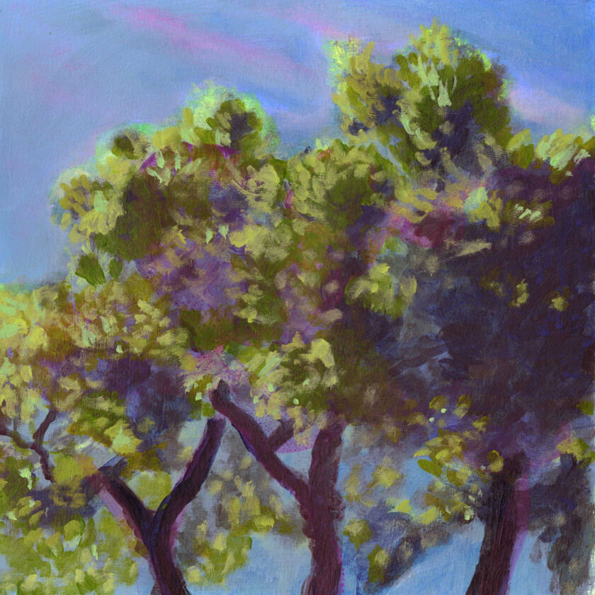 Eli Winter The Time To Come LP/Vinyl