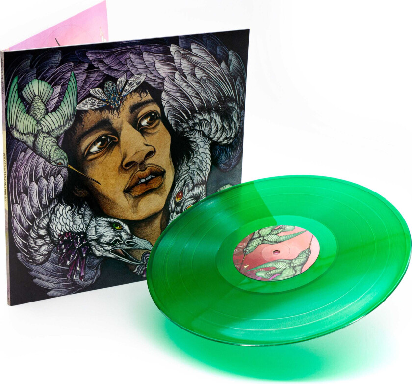 Diverse Artister, Diverse Rock Best Of James Marshall Hendrix (Redux) LP/Vinyl