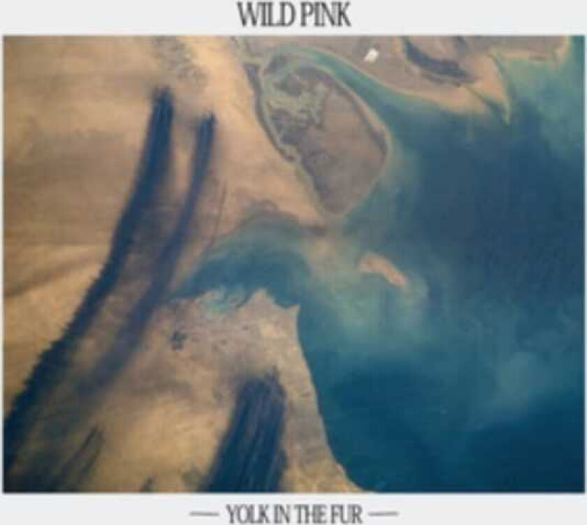 Wild Pink Yolk In The Fur CD