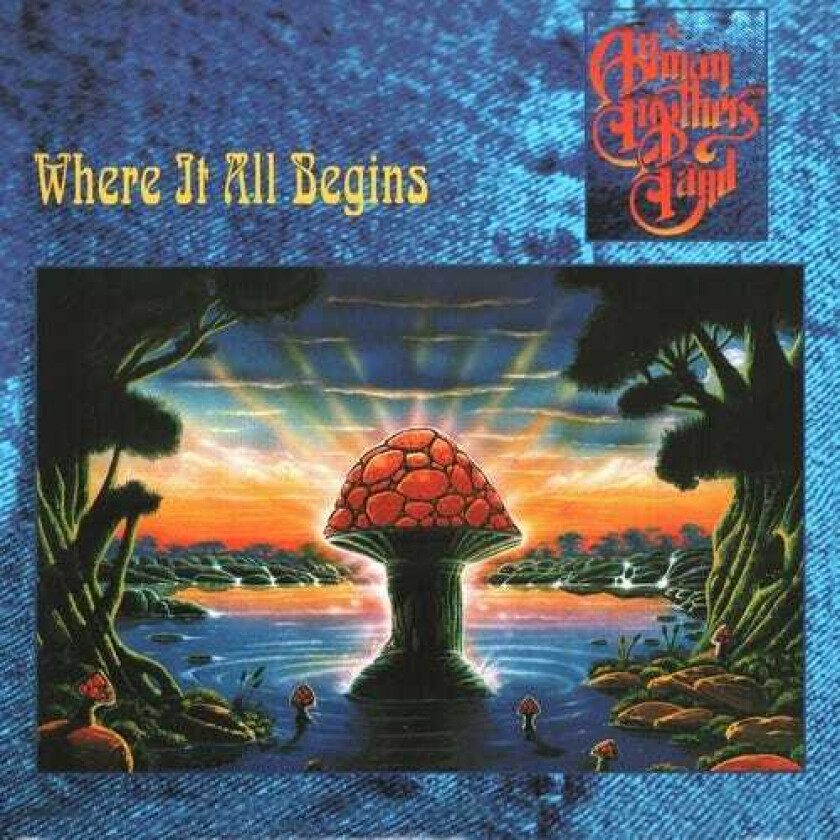 The Allman Brothers Band Where It All Begins LP/Vinyl