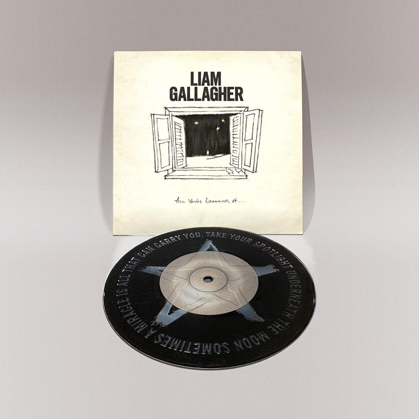 Liam Gallagher All You're Dreaming Of LP/Vinyl