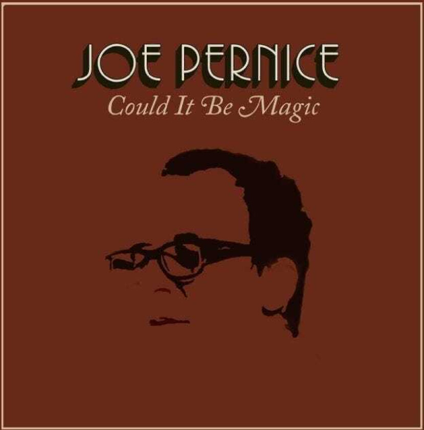 Joe Pernice  Could It Be Magic  CD