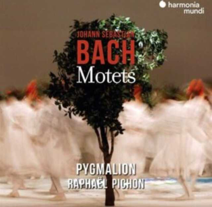 Ensemble Pygmalion, Raphael Pichon  Bach: Motets  CD