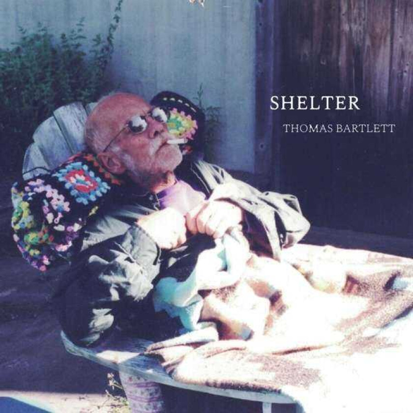 Thomas Bartlett Shelter LP/Vinyl