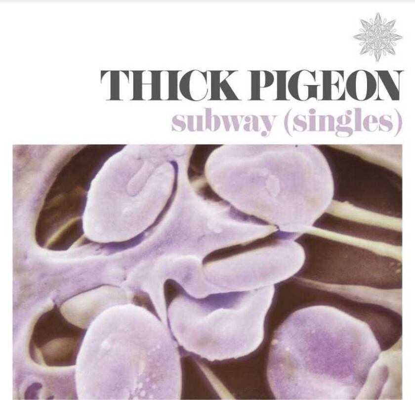 Thick Pigeon Subway Singles LP/Vinyl