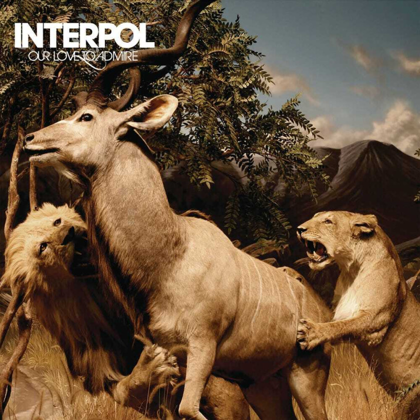 Interpol Our Love To Admire LP/Vinyl