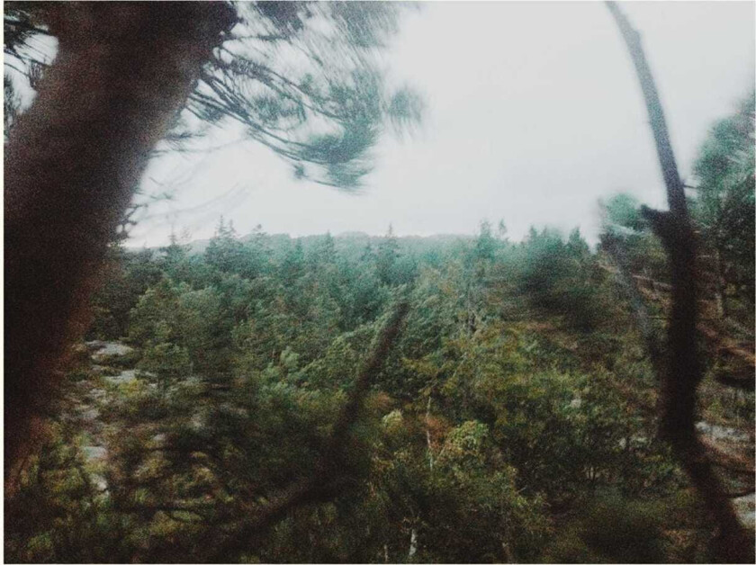 Echo Field Echo Field LP/Vinyl